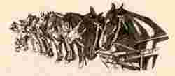 Le Tracteur agricole TOURAND-LATIL travaille comme 12 chevaux.