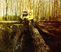 Débardage : avec son moteur de 125 CV, sa bêche d'ancrage, ses 4 roues motrices et directrices et son treuil grande puissance, le tracteur TL73, débarde tous les bois dans les plus mauvaises conditions d'exploitation en plaine et en montagne grâce à sa garde au sol importante et à sa grande stabilité.