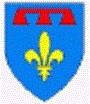 blason de la Provence avec Charles d'Anjou. blason de la Provence avec Charles d'Anjou.
